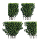 Buxus Sempervirens - Boxwood 03 - 3DOcean Item for Sale