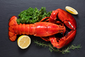 boiled lobster - PhotoDune Item for Sale