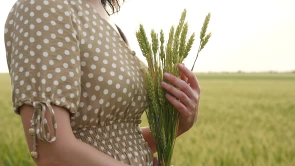 The Girl Holds the Ripening Ears of Wheat in Her Hands, Gently Touching Them with Her Fingers