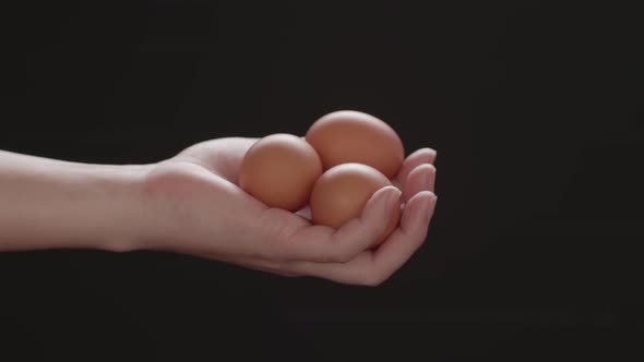 Hand Holds And Shows Amazing Chicken Eggs