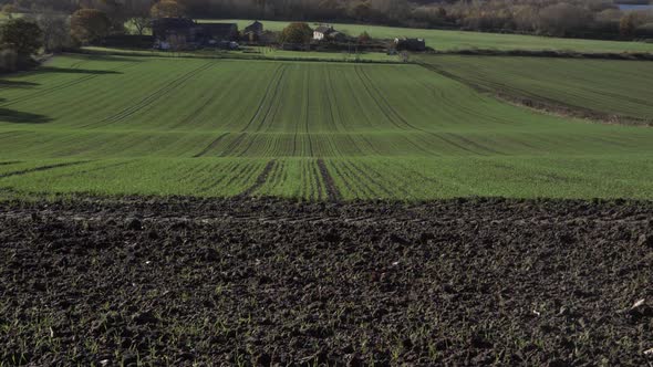 Early green crop shoots on farmland wide panning shot