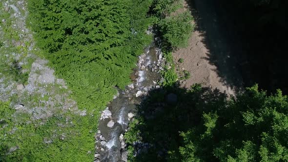 Clean stream flowing through the trees.