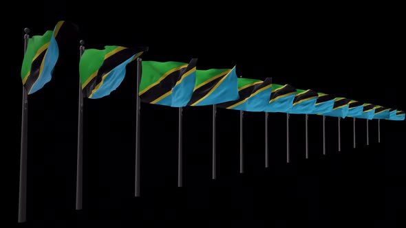 Row Of Tanzania Flags With Alpha 2K