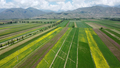 High angle aerial view of farm fields in Kyrgyzstan near the Kazakhstan border. - PhotoDune Item for Sale