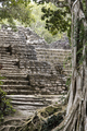 Detail shot of The Mayan pyramid of Chacchoben in Costa Maya on the Yucatan Peninsula of Mexico - PhotoDune Item for Sale