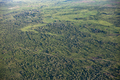 Aerial view of the tropical landscape of South Sudan. - PhotoDune Item for Sale