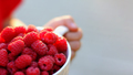 a mug full of ripe raspberries in the hands of a child. harvesting raspberries in the garden - PhotoDune Item for Sale