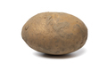 Single fresh Dutch variety potato called Bintje on white background - PhotoDune Item for Sale