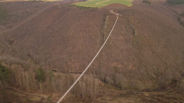 Aerial orbiting view of a long suspension bridge hanging over a leafless deciduous forest.