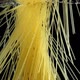 Pasta throwing in the boiling water - VideoHive Item for Sale
