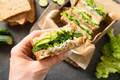 Woman cook traditional English tea cucumber sandwiches with ricotta and dill for breakfast. - PhotoDune Item for Sale