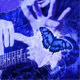 Modern Country Pop Rock Pack