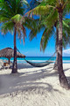 Tropical Vacation - PhotoDune Item for Sale