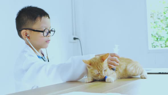 Asian boy dressed as a doctor is treating a cat.