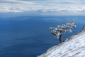 A lone pine tree against the sea in winter - PhotoDune Item for Sale