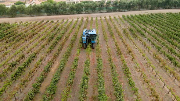 Aerial dolly out view of a blue grape harvester in a vineyard in the Maipo Valley, Chile.