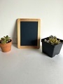 Blackboard with succulent plants  - PhotoDune Item for Sale