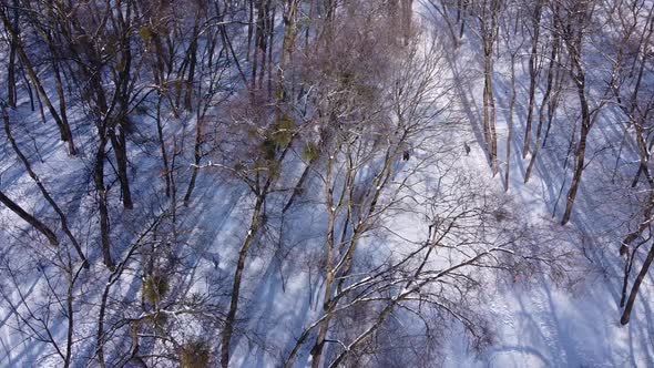 Aerial view of a drone flying over the winter park