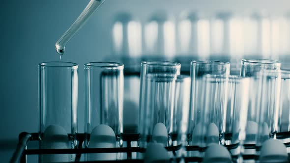 The scientist dropping the chemical solution in test tube in the laboratory experiment.