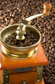 coffee grinder on beans - PhotoDune Item for Sale