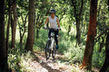 Mountain biking in summer forest - PhotoDune Item for Sale