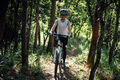 Mountain biking in summer forest - PhotoDune Item for Sale