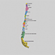 Chile State Map - 3DOcean Item for Sale