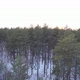 In The Winter Forest At Sunset - VideoHive Item for Sale
