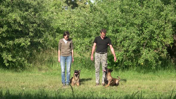 Two Dogs Are Executing Commands of Their Owners.