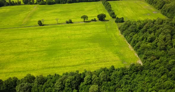 Aerial shot of a lush prairie grassland.