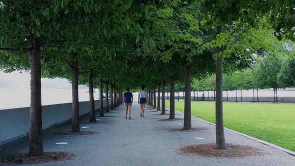 dolly shot forward under a tree canopy of perfectly lined trees with two women walking away from the