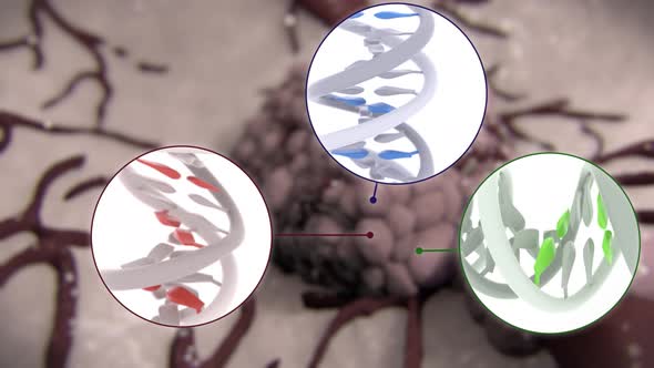 Division and growth of cancerous cells