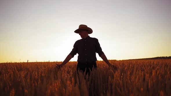 Male agronomist on golden field. Farmer in hat walks along the agriculture field 