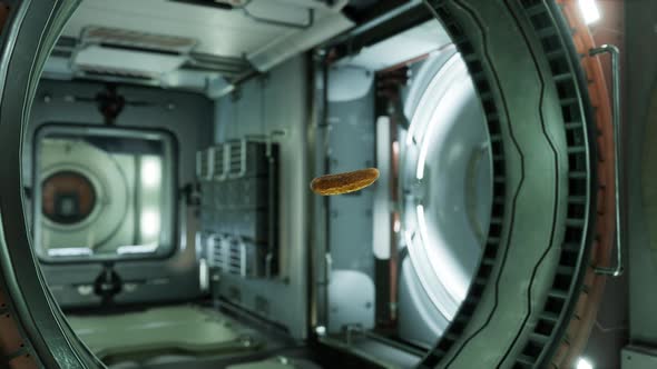 Marinated Pickled Cucumber Floating in Internation Space Station