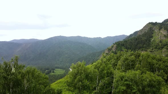 A Flight Over the Tops of Green Trees in a Mountainous Area