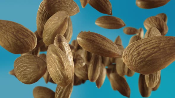 Flying of Almonds in Sky Blue Background