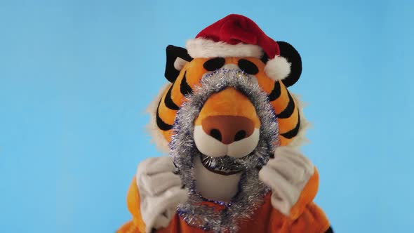 Man in Tiger Costume with Santa's Red Hat and Tinsel Dances on a Blue Winter Background