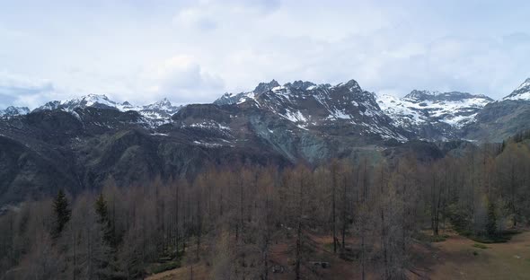 Moving Up Discovering Above Pine Fir or Larch Woods Forest and Snowy Mountain in Autumn