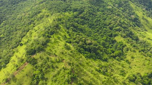 Mountain Peaks Covered with Forest From Above