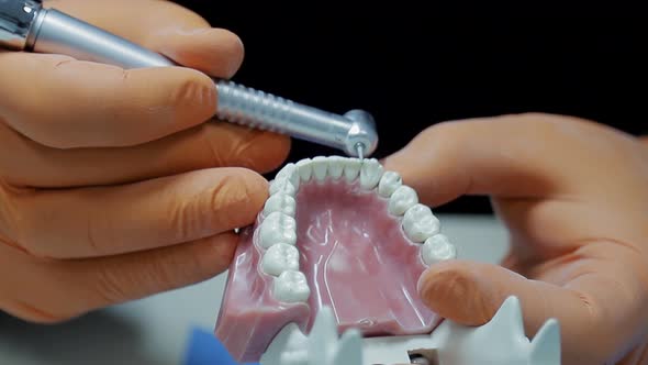 Close-up of a Dentist Practicing on a Mock-up of a Skeleton of Teeth Using a Drill Machine. the