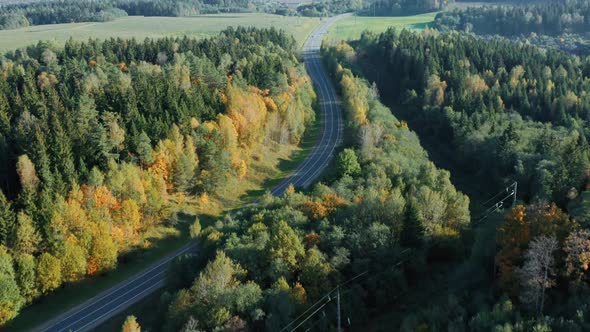 Aerial Drone Shot Cars Driving Along Winding Country Road Through Autumn Forest. Fall Season