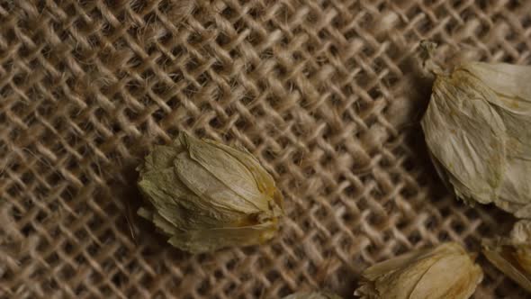 Rotating shot of barley and other beer brewing ingredients 