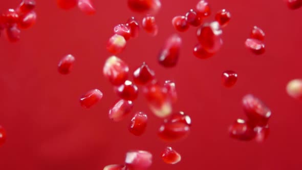 Juicy Fresh Grains of Ripe Pomegranate are Bouncing on the Red Background