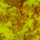Red And Yellow Smoke - VideoHive Item for Sale