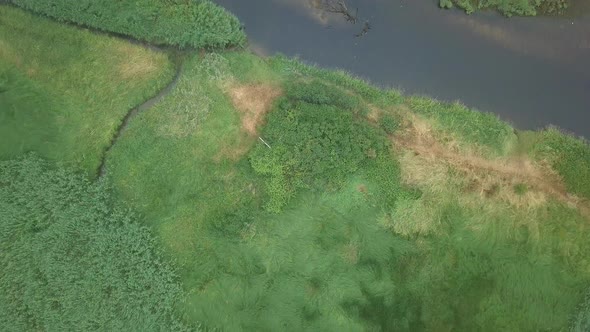 River Otter, slow aerial shot.