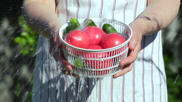 Pouring water to pile of fresh tomato in slow motion outdoors in summer day