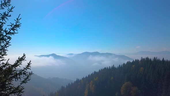 Flying in the Mountains Above the Morning Misty Forest