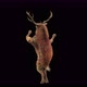 45 Deer Dancing 4K - VideoHive Item for Sale