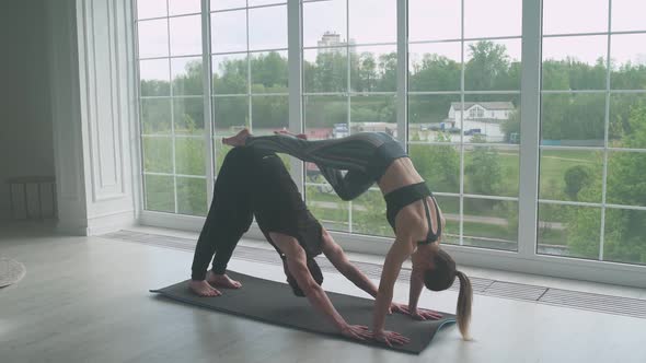 Wellness Man and Woman Do Yoga Together Perform Stands and Muscle Stretching Joint Training of a