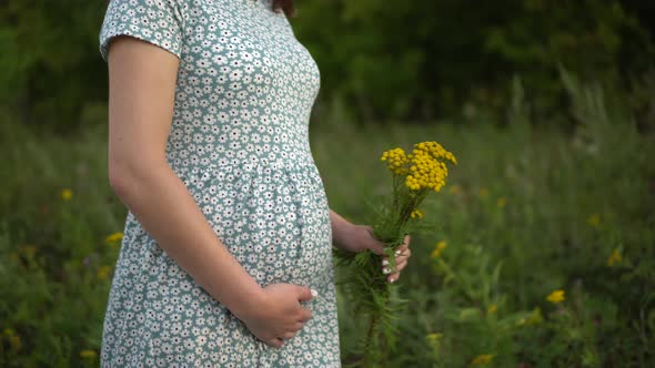 Happy Young Pregnant Woman Walks in Nature and Strokes Her Belly